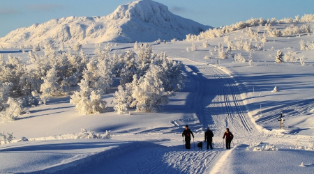 Wintersport  Beitostølen